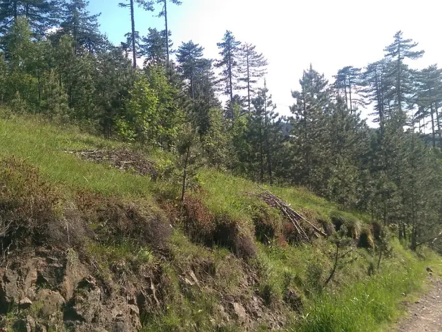 Plac Zlatibor - Tornik, vikend naselje - Čajetina - fotografija 3
