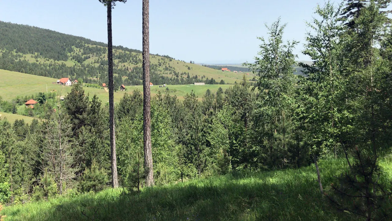 Plac Zlatibor - Tornik, vikend naselje - Čajetina