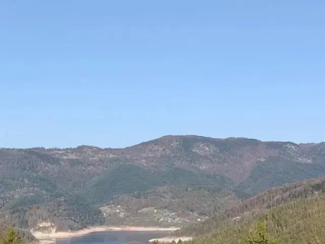 Plac Zaovine-Tara - Bajina Bašta