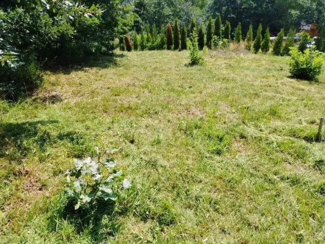 Plac Zaovine-Tara - Bajina Bašta - fotografija 2