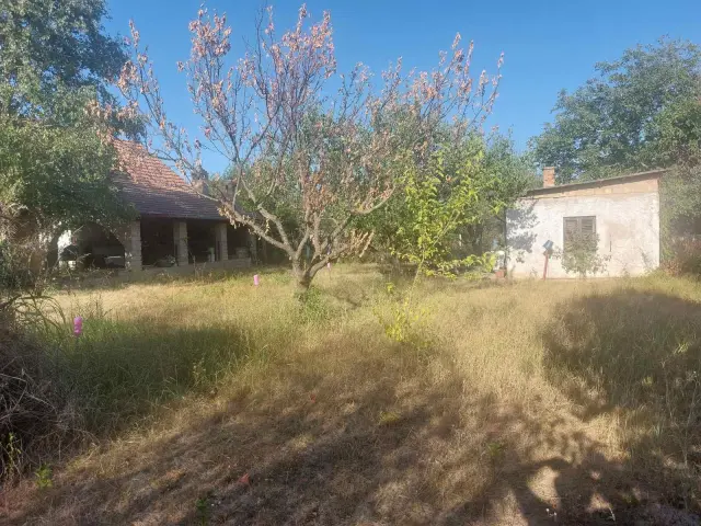 Ekskluzivna ponuda na prodaju dva placa u Čortanovcima - Inđija