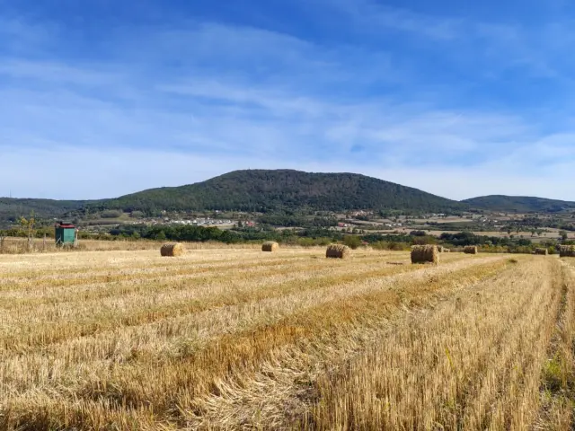 🌄 KOSMAJ – 140 ARI GRAĐEVINSKOG ZEMLJIŠTA U ROGAČI | PANORAMSKI POGLED | IZUZETNA LOKACIJA - Sopot - fotografija 2