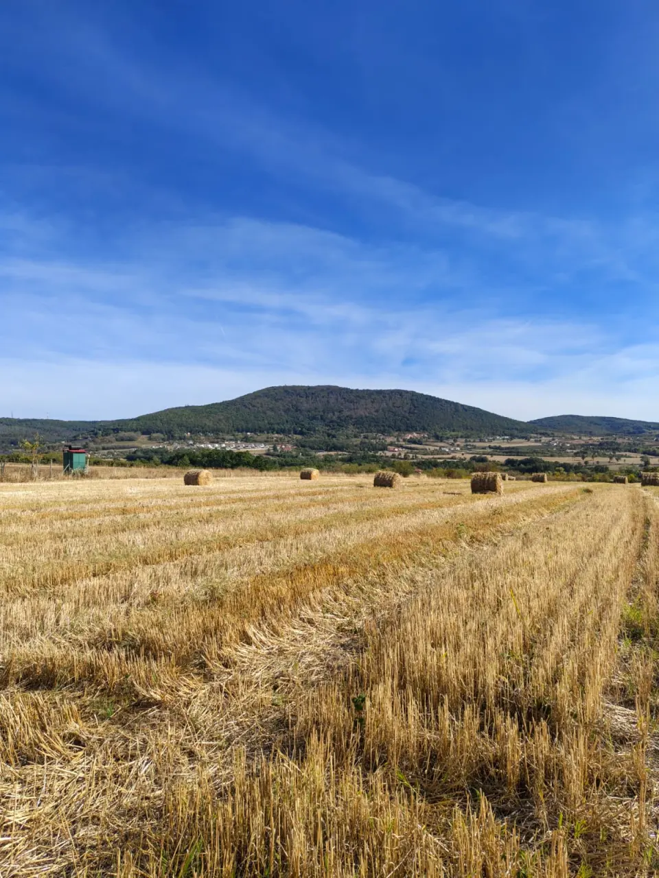 🌄 KOSMAJ – 140 ARI GRAĐEVINSKOG ZEMLJIŠTA U ROGAČI | PANORAMSKI POGLED | IZUZETNA LOKACIJA - Sopot - fotografija 2