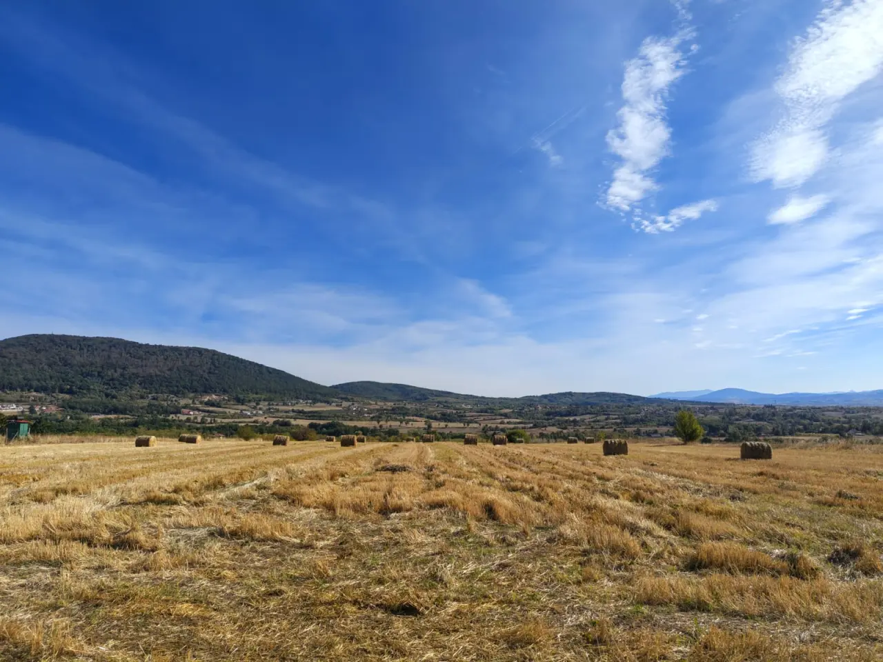 🌄 KOSMAJ – 140 ARI GRAĐEVINSKOG ZEMLJIŠTA U ROGAČI | PANORAMSKI POGLED | IZUZETNA LOKACIJA - Sopot - fotografija 4