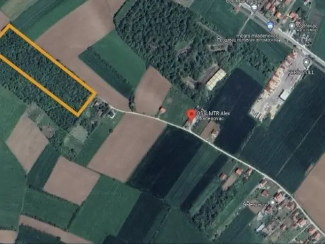 Šumsko zemljište 135 ari, Mladenovac