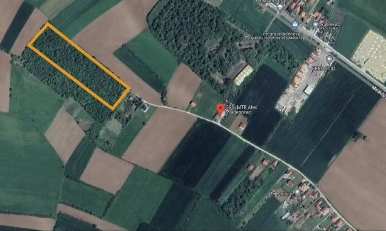 Šumsko zemljište 135 ari, Mladenovac - Mladenovac