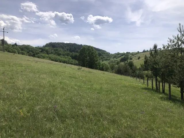 Odličan plac 60 ari Zlatibor Šljivovica - Čajetina - fotografija 2