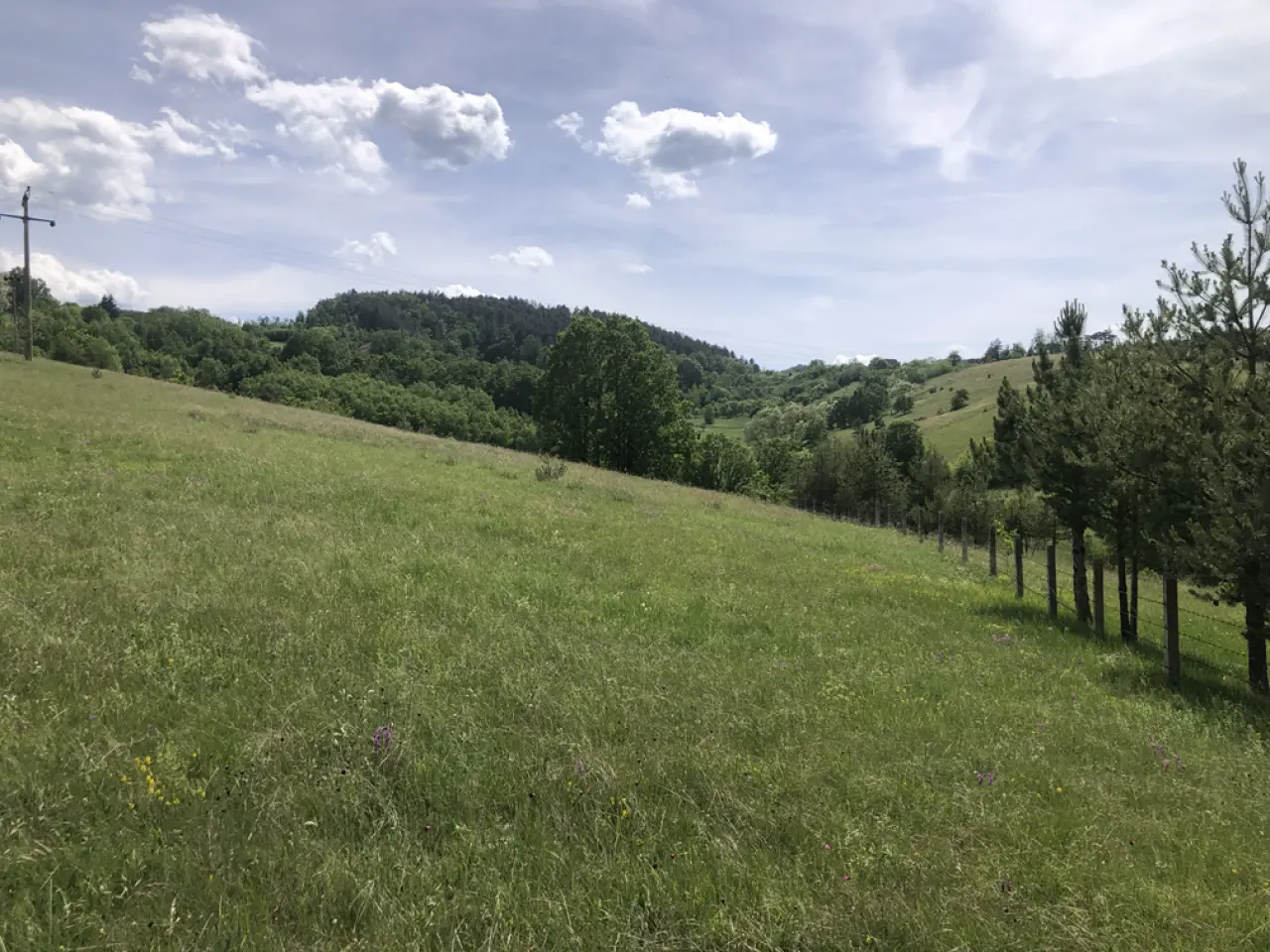 Odličan plac 60 ari Zlatibor Šljivovica - Čajetina - fotografija 2