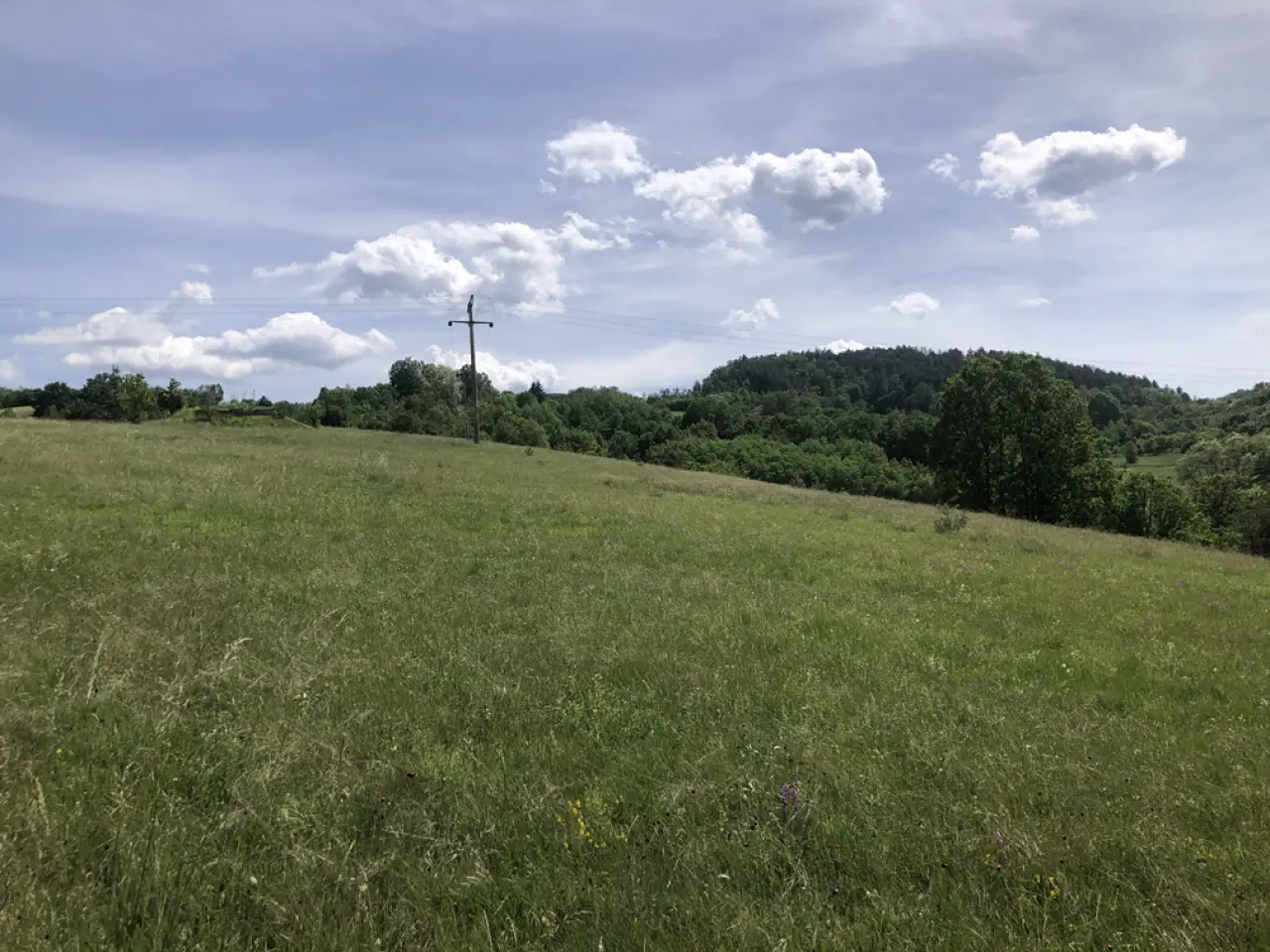 Odličan plac 60 ari Zlatibor Šljivovica - Čajetina - fotografija 3