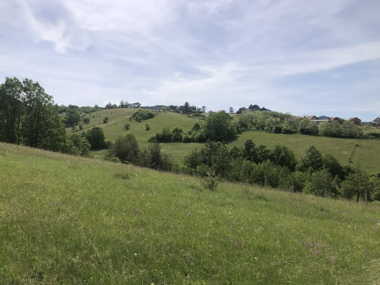 Odličan plac 60 ari Zlatibor Šljivovica - Čajetina - fotografija 4