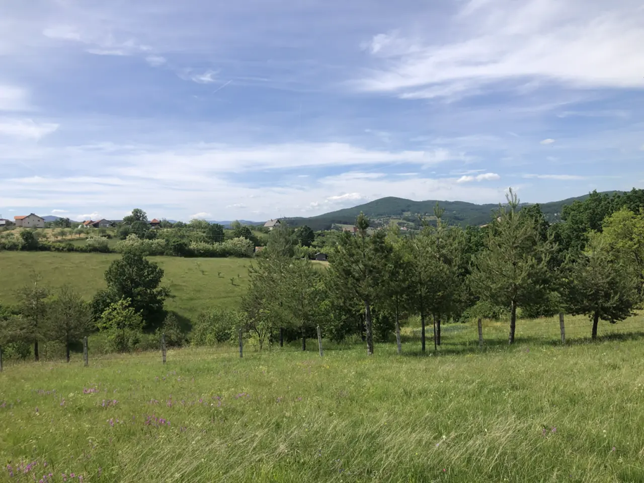 Odličan plac 60 ari Zlatibor Šljivovica - Čajetina - fotografija 5