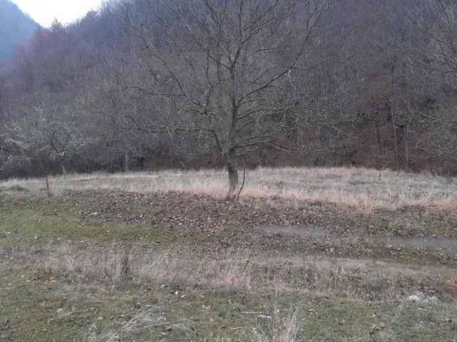 Graðevinsko zemljište 28 ari Kopaonik (Ðerekare)