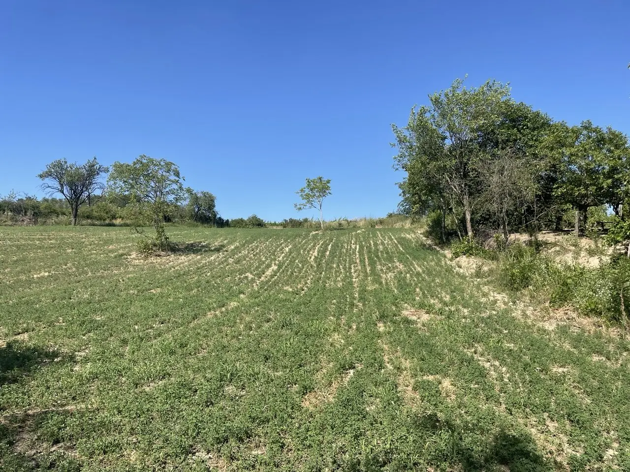Plac 31 ari – Slankamenački Vinogradi | Panoramski pogled na celu Vojvodinu - Inđija - fotografija 3