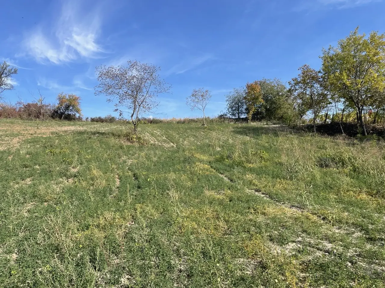 Plac 31 ari – Slankamenački Vinogradi | Panoramski pogled na celu Vojvodinu - Inđija - fotografija 5